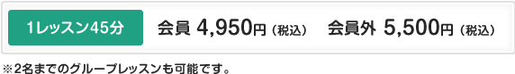 1レッスン45分